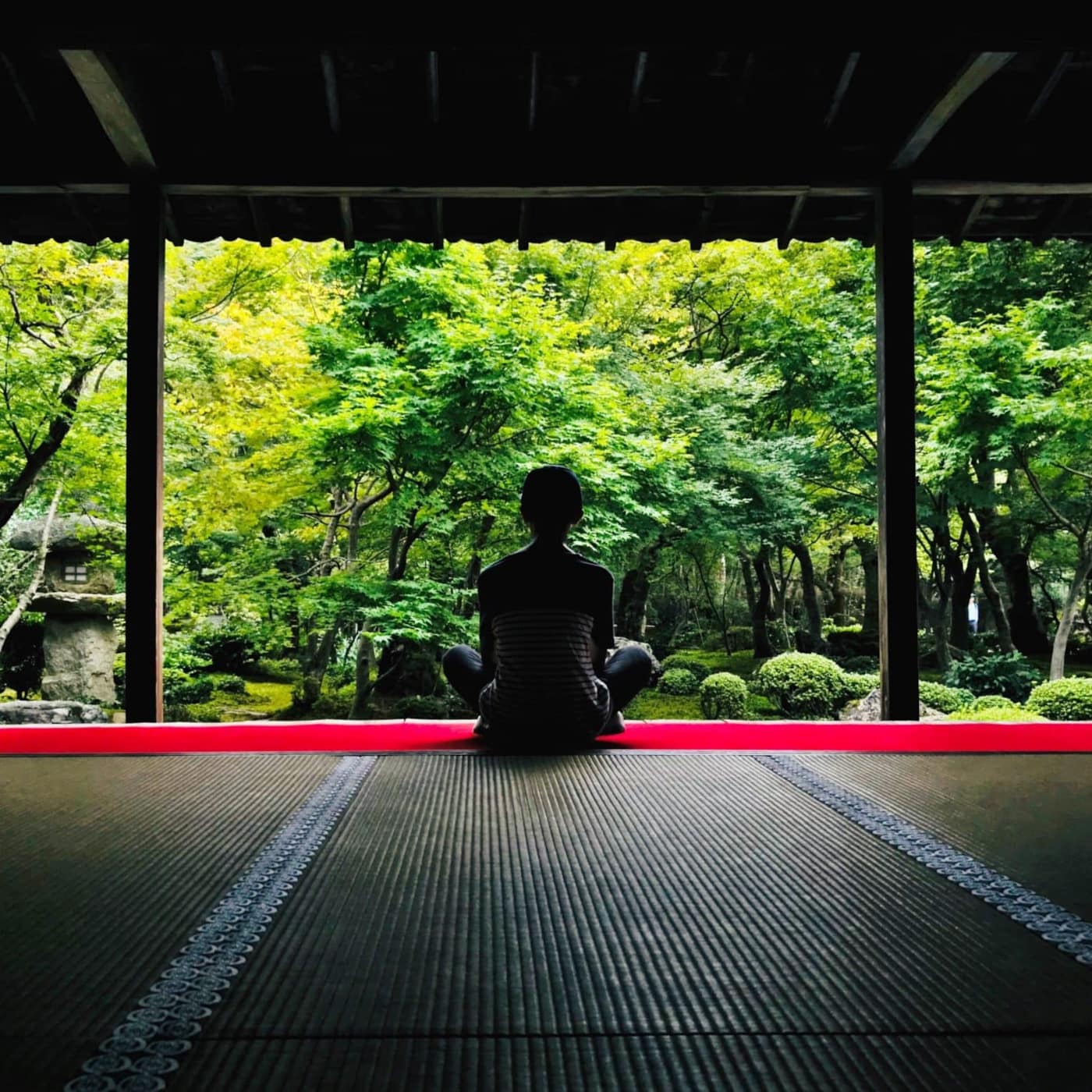 T'ai Chi 10 Step Form - spring