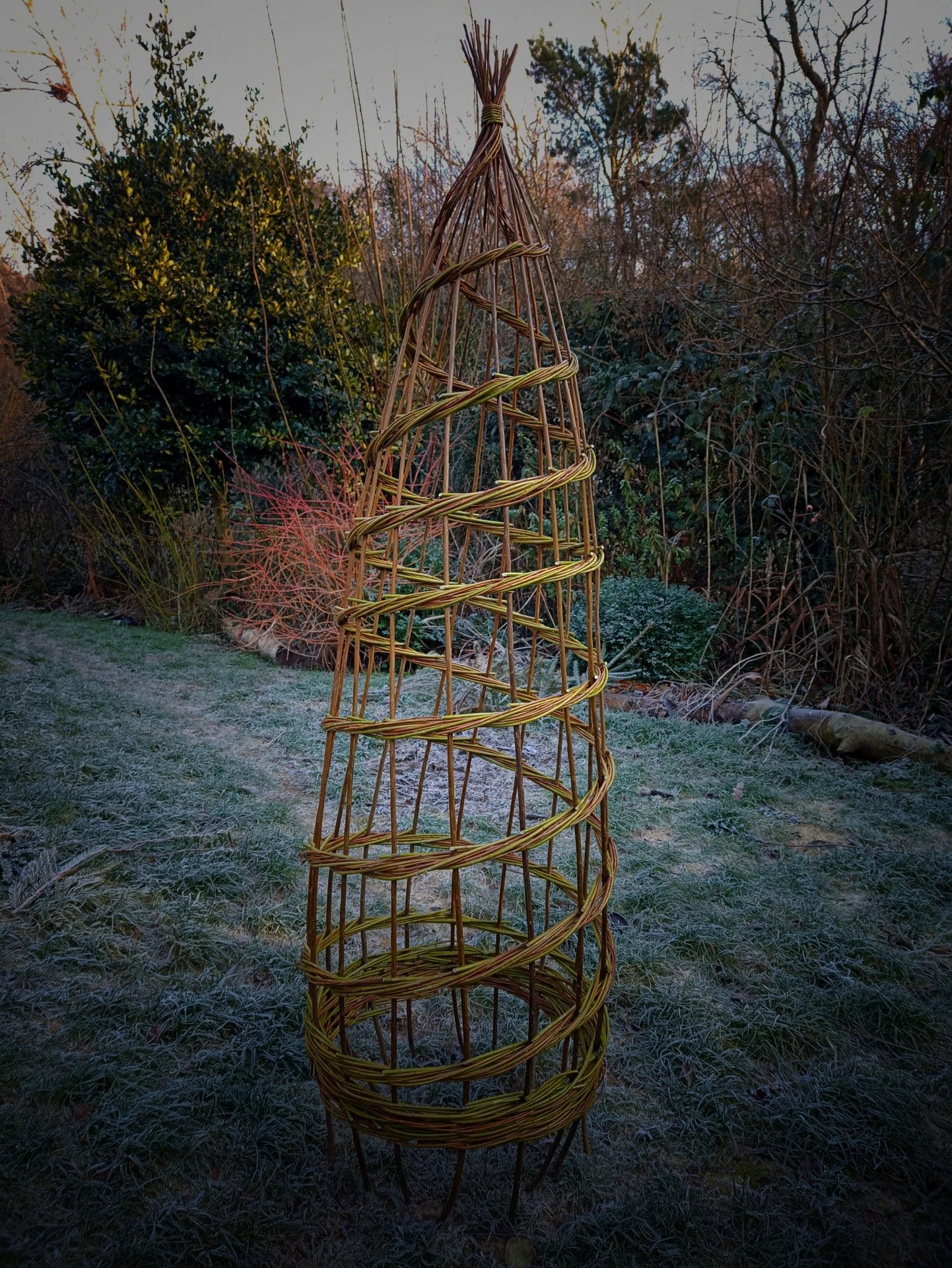 photo of a willow obelisk in the garden